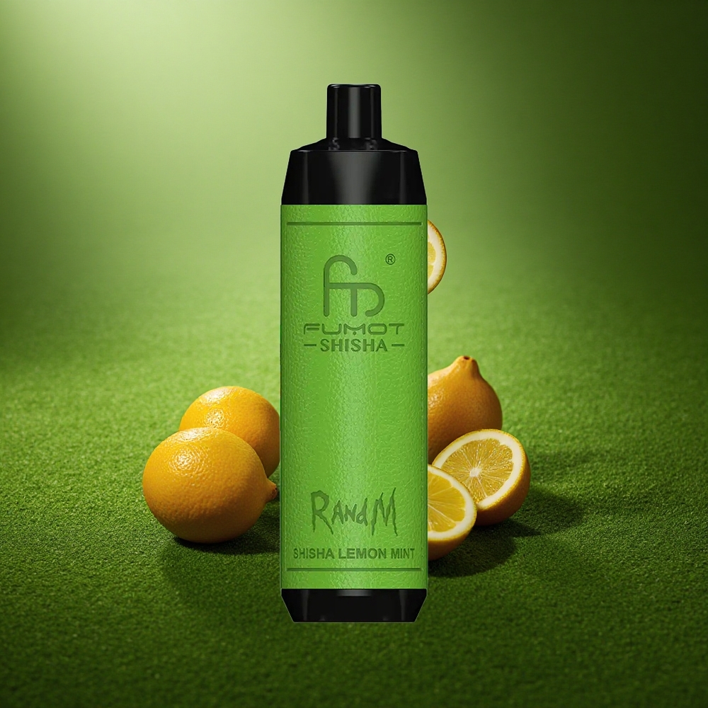 RandM Fumot Shisha 10000 Puffs Lemonipiparmint LED-Tüüp C 0.6ohm Võrkpool