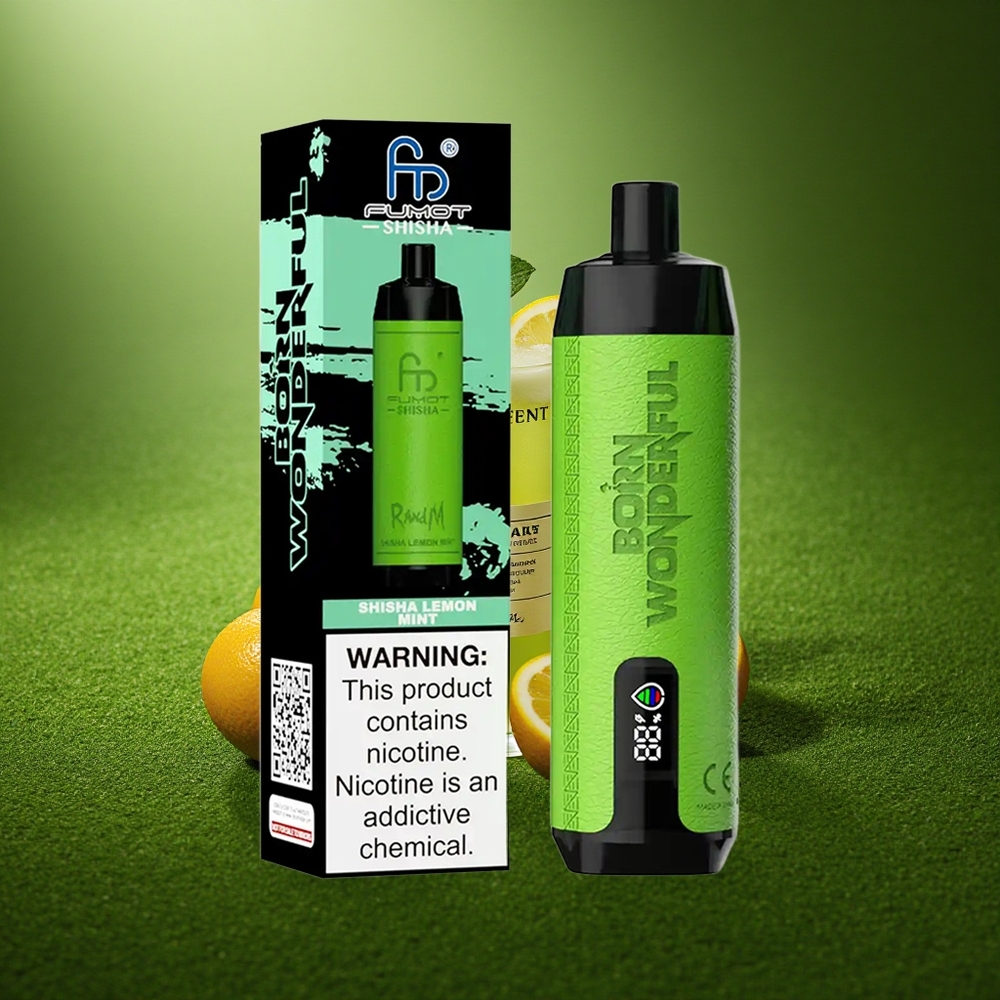 RandM Fumot Shisha 10000 Puffs Lemonipiparmint LED-Tüüp C 0.6ohm Võrkpool