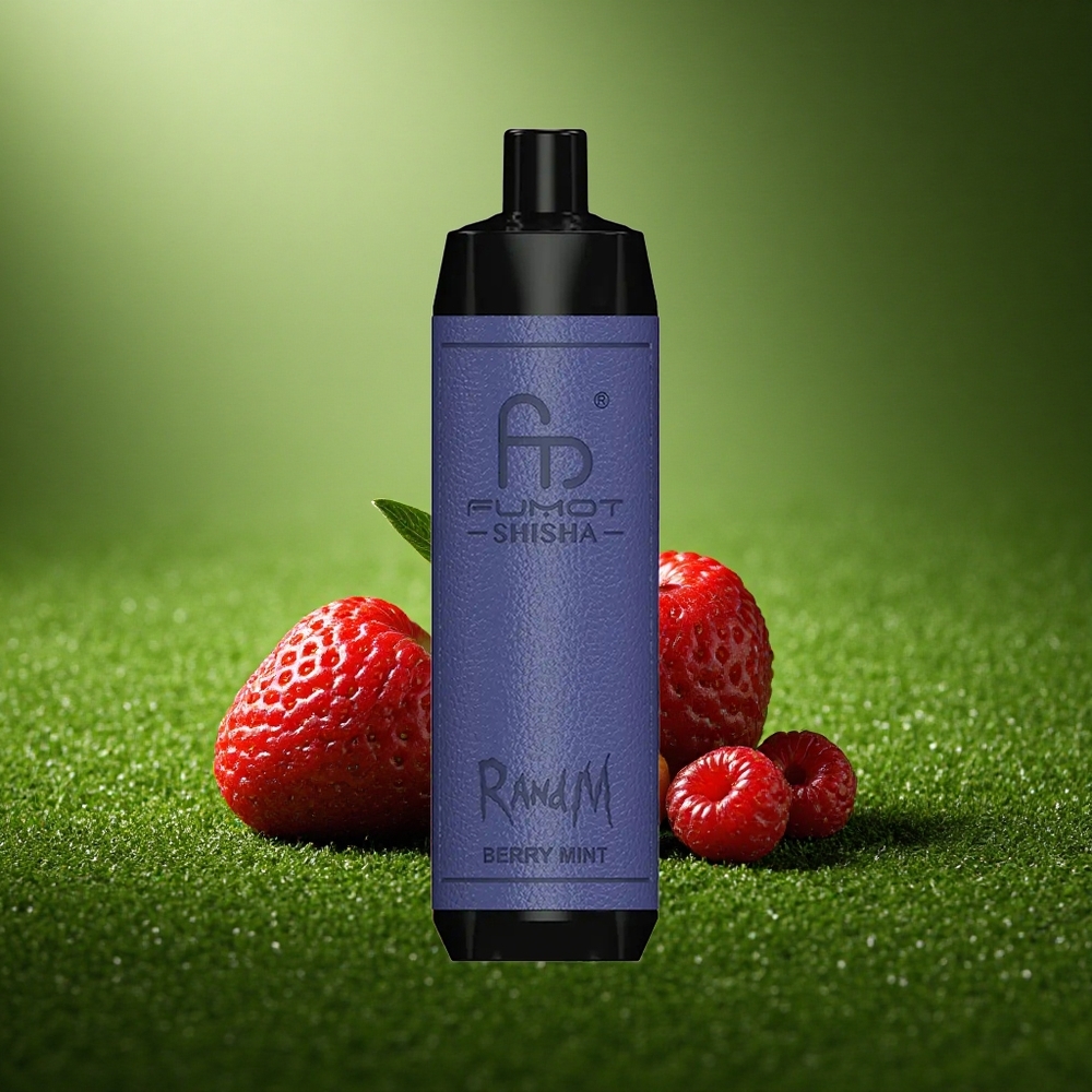 RandM Fumot Shisha 10000 Puffs MarjaMünt LED Tüüp-C 0,6ohm