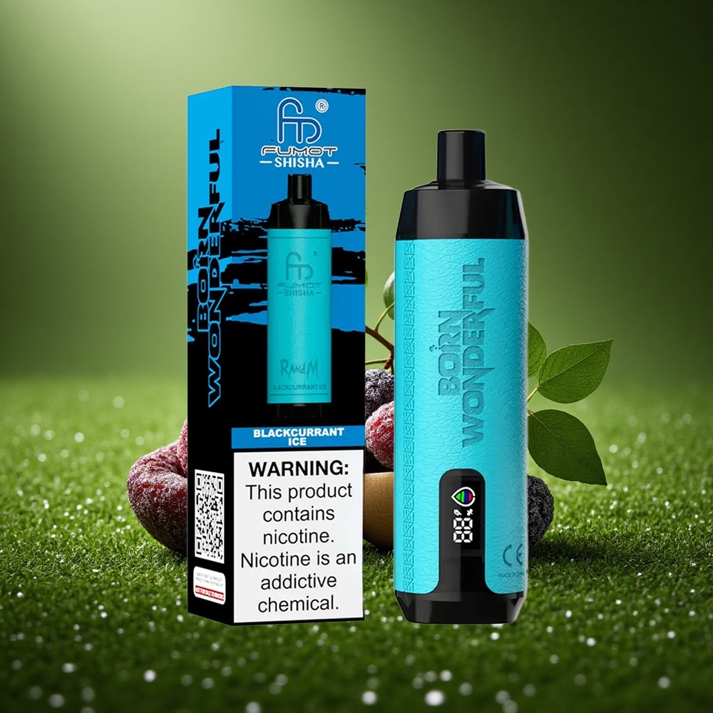 RandM Fumot Shisha 10000 Puffs Mustika-Jää LED 0.6ohm Tüüp-C