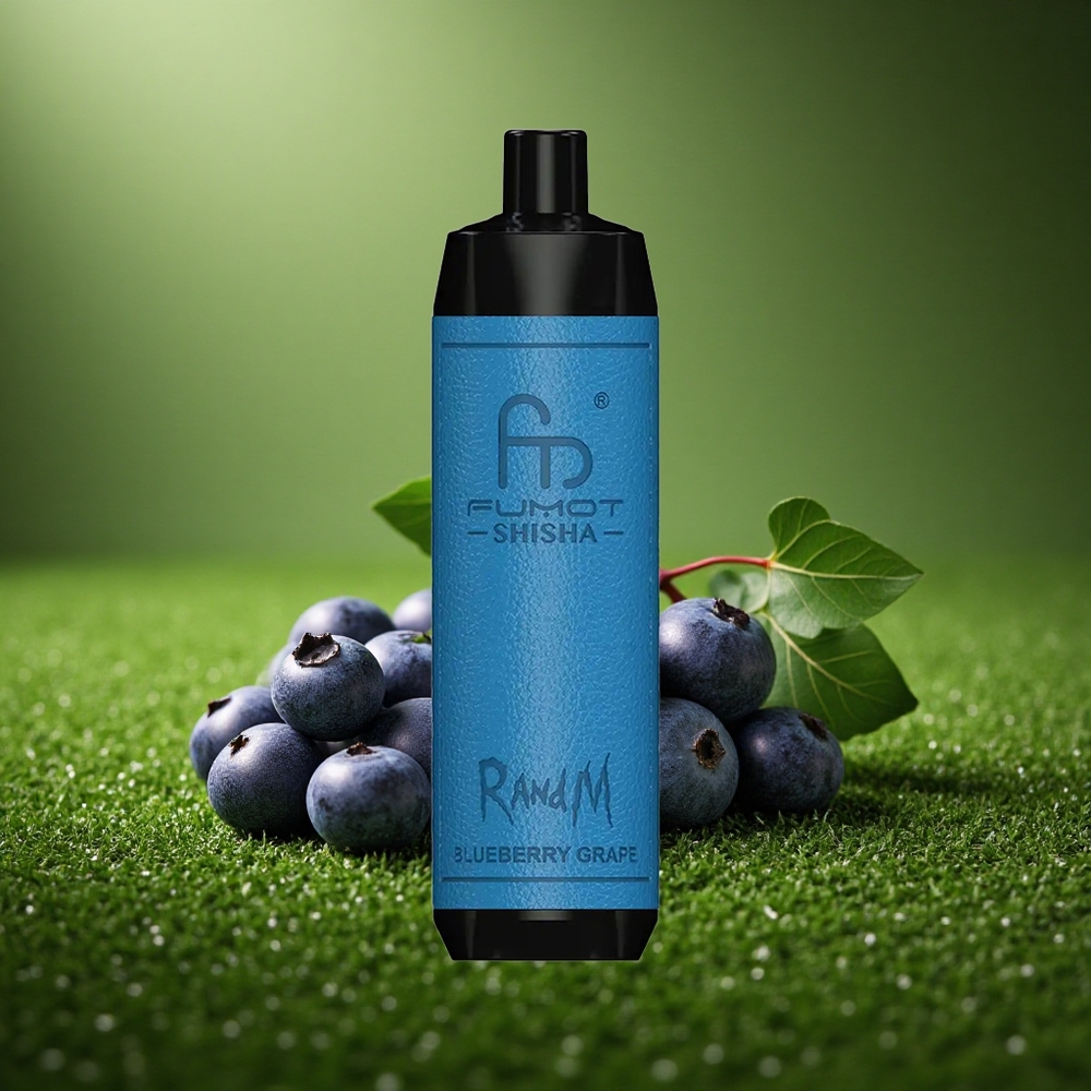 RandM Fumot Shisha 10000 Puffs Mustika Viinamarja LED 0.6ohm Tüüp-C