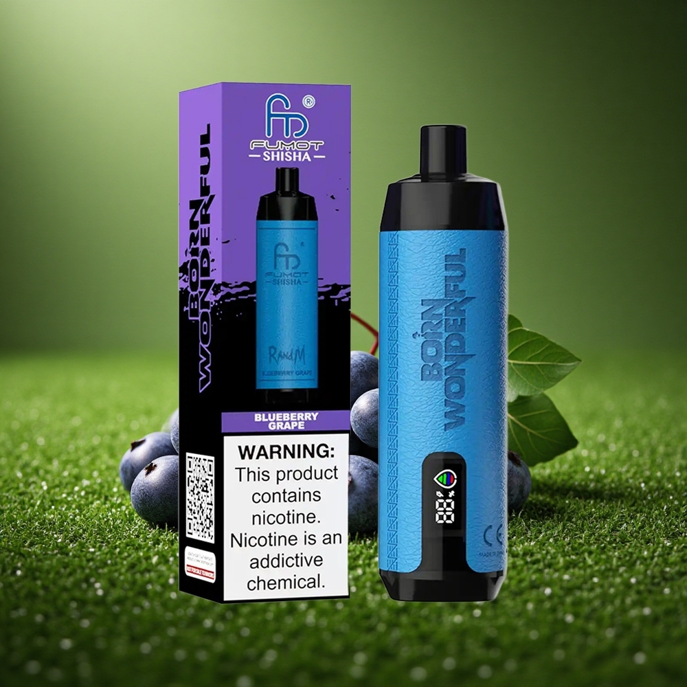 RandM Fumot Shisha 10000 Puffs Mustika Viinamarja LED 0.6ohm Tüüp-C