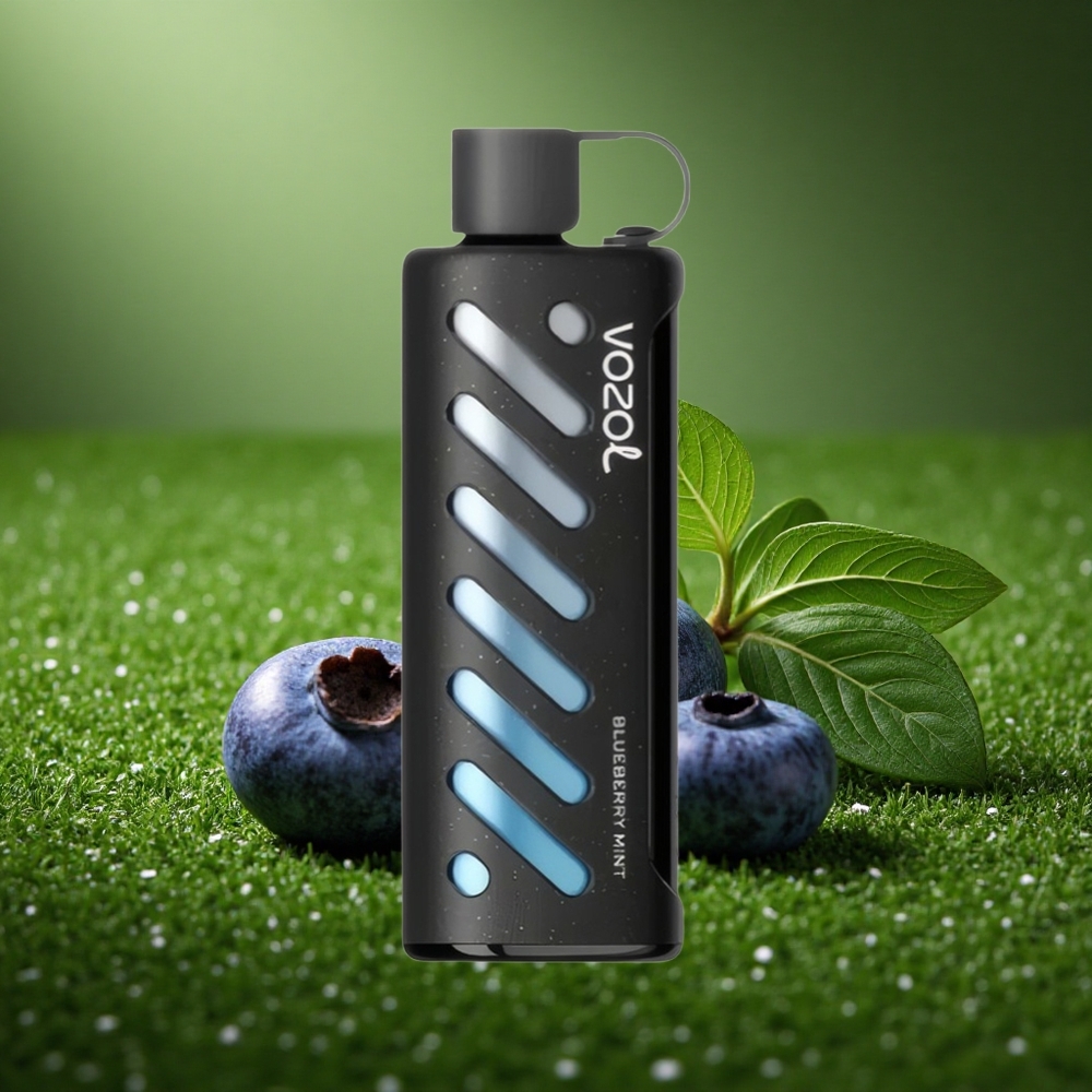 VOZOL Gear Shisha 25000 Puffs Mustikas Münt Dual Mesh 1000mAh