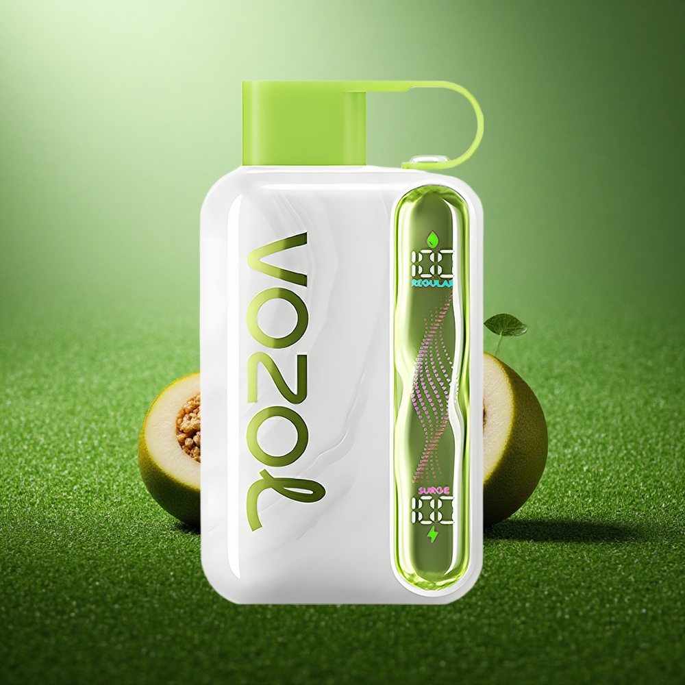 VOZOL STAR 40000 Puffs Jahe Münt 1000mAh Type-C 20/50mg