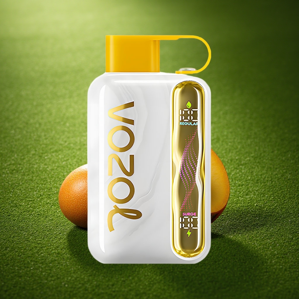 VOZOL STAR 40000 Puffs Mango Jää 1000mAh 20/50mg Type-C