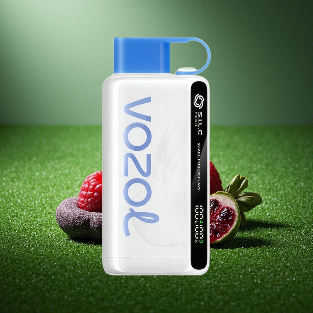 VOZOL STAR 9000/12000 Puffs Sinise Vaarika Jää Purk Purunemisvaba Vape kiire laadimisega ja akendega