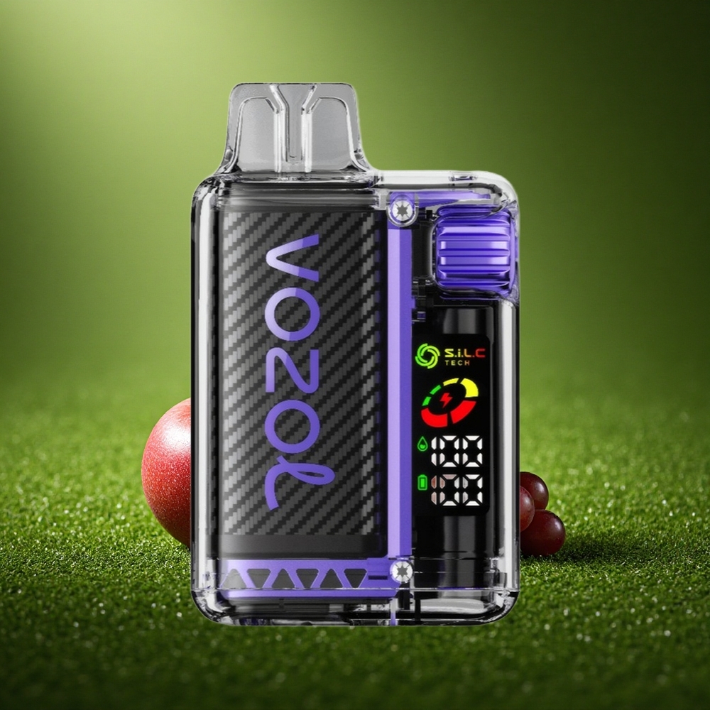 VOZOL Vista 20000 Puffs Viinamarja Jää 650mAh Taaskasutatav MTL
